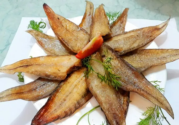 Khám Phá Hình Ảnh Cá Bơn (cá Lưỡi Trâu): Cách Nhận Diện Đặc Điểm Sinh Học Cho Người Nội Trợ Khám Phá Hình Ảnh Cá Bơn (cá Lưỡi Trâu): Cách Nhận Diện Đặc Điểm Sinh Học Cho Người Nội Trợ