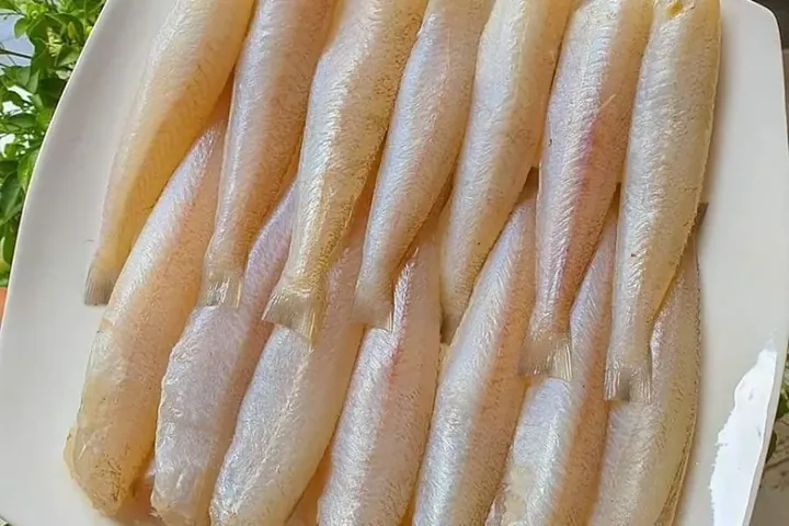 Khám Phá Hình Ảnh Và Đặc Điểm Cá Đục Cho Bà Nội Trợ Khác Với Cá Bống Nước Ngọt Khám Phá Hình Ảnh Và Đặc Điểm Cá Đục Cho Bà Nội Trợ Khác Với Cá Bống Nước Ngọt