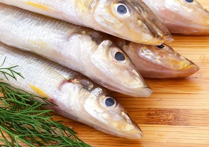 Khám Phá Hình Ảnh Và Đặc Điểm Cá Đục Cho Bà Nội Trợ Khác Với Cá Bống Nước Ngọt Khám Phá Hình Ảnh Và Đặc Điểm Cá Đục Cho Bà Nội Trợ Khác Với Cá Bống Nước Ngọt