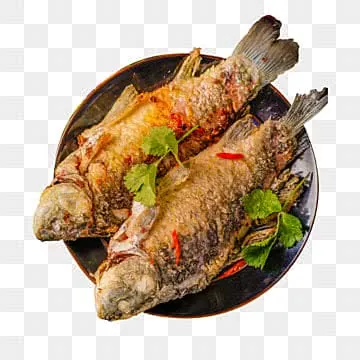 Khám Phá Hình Ảnh Cá Giòn Cho Người Nội Trợ Qua So Sánh Với Cá Thường Khám Phá Hình Ảnh Cá Giòn Cho Người Nội Trợ Qua So Sánh Với Cá Thường