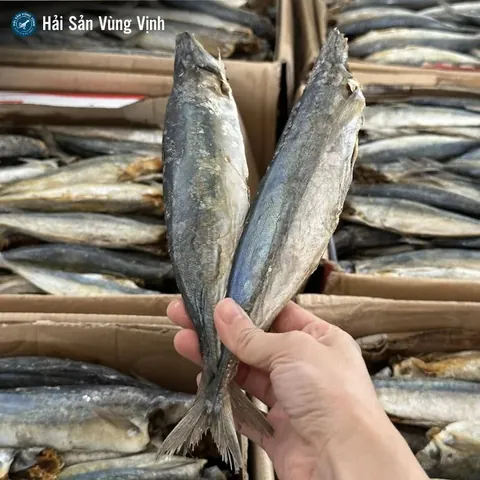 Khám Phá Hình Ảnh Cá Khô Và Các Loại Đặc Sản Cho Người Yêu Ẩm Thực Khám Phá Hình Ảnh Cá Khô Và Các Loại Đặc Sản Cho Người Yêu Ẩm Thực