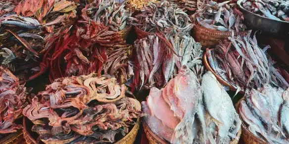 Khám Phá Hình Ảnh Cá Khô Và Các Loại Đặc Sản Cho Người Yêu Ẩm Thực Khám Phá Hình Ảnh Cá Khô Và Các Loại Đặc Sản Cho Người Yêu Ẩm Thực