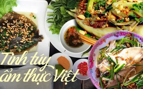 Khám Phá Hình Ảnh Cá Lồi: Nhận Diện Đặc Điểm Và Phân Biệt Với Cá Đuối Cho Du Khách & Người Yêu Ẩm Thực