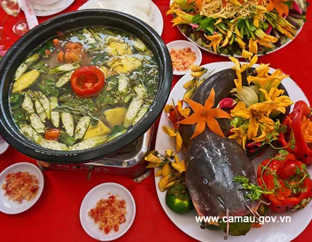 Xem Hình Ảnh Cá Ngát: Cách Nhận Diện Loài Cá Da Trơn Phân Biệt Với Cá Trê Cho Người Nội Trợ Xem Hình Ảnh Cá Ngát: Cách Nhận Diện Loài Cá Da Trơn Phân Biệt Với Cá Trê Cho Người Nội Trợ