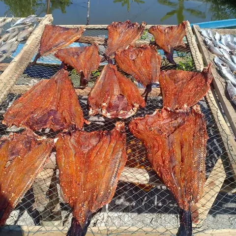 Xem Hình Ảnh Cá Ngát: Cách Nhận Diện Loài Cá Da Trơn Phân Biệt Với Cá Trê Cho Người Nội Trợ Xem Hình Ảnh Cá Ngát: Cách Nhận Diện Loài Cá Da Trơn Phân Biệt Với Cá Trê Cho Người Nội Trợ