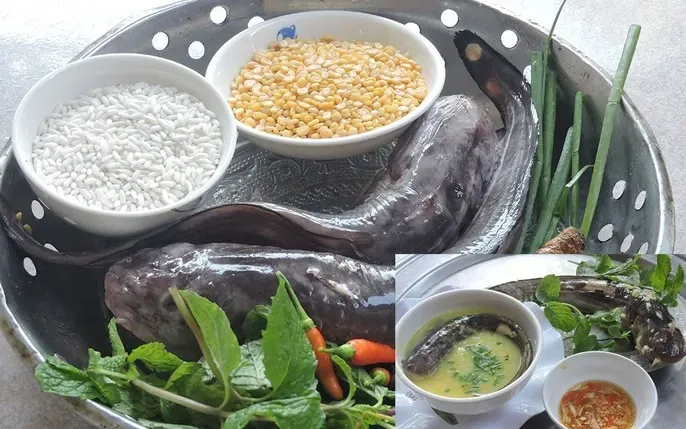 Xem Hình Ảnh Cá Ngát: Cách Nhận Diện Loài Cá Da Trơn Phân Biệt Với Cá Trê Cho Người Nội Trợ Xem Hình Ảnh Cá Ngát: Cách Nhận Diện Loài Cá Da Trơn Phân Biệt Với Cá Trê Cho Người Nội Trợ