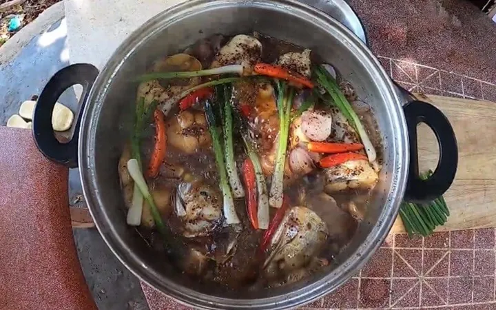 Xem Hình Ảnh Và Đặc Điểm Nhận Diện Cá Nhụ (cá Chéc) Cho Người Nội Trợ Xem Hình Ảnh Và Đặc Điểm Nhận Diện Cá Nhụ (cá Chéc) Cho Người Nội Trợ
