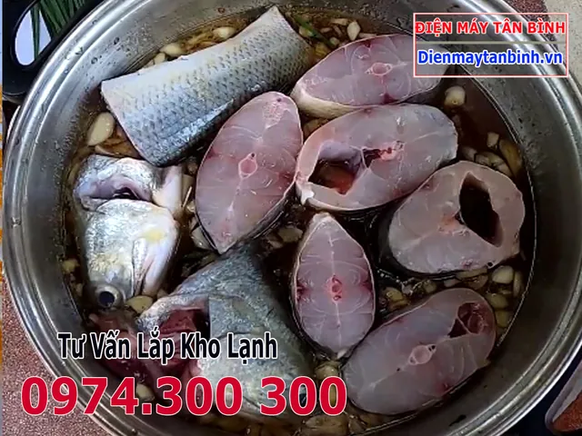 Xem Hình Ảnh Và Đặc Điểm Nhận Diện Cá Nhụ (cá Chéc) Cho Người Nội Trợ Xem Hình Ảnh Và Đặc Điểm Nhận Diện Cá Nhụ (cá Chéc) Cho Người Nội Trợ