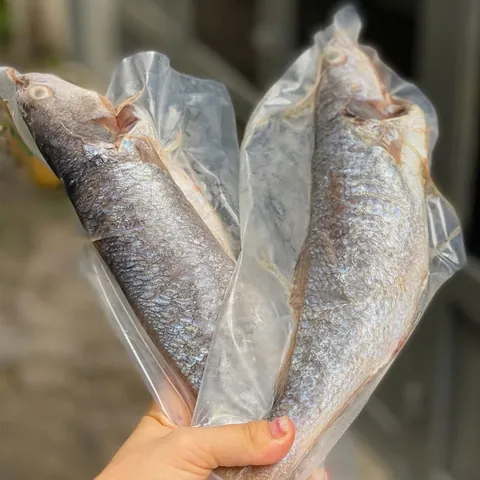 Xem Hình Ảnh Cá Sóc Và Đặc Điểm Nhận Biết Cho Người Nuôi Cá Cảnh (cá Sọc Ngựa, Cá Sóc Đầu Đỏ) Xem Hình Ảnh Cá Sóc Và Đặc Điểm Nhận Biết Cho Người Nuôi Cá Cảnh (cá Sọc Ngựa, Cá Sóc Đầu Đỏ)