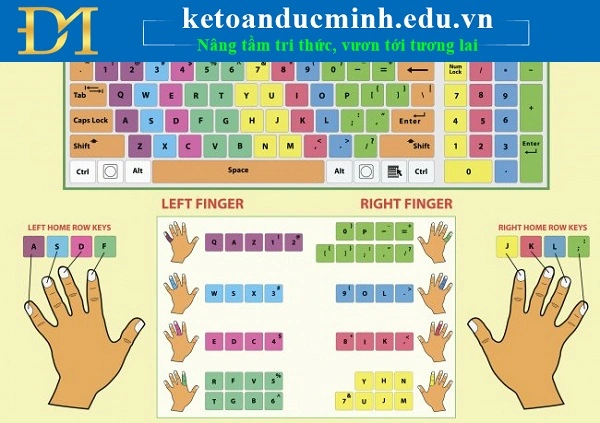 Hình Ảnh Cách Đặt Tay Lên Bàn Phím: Hướng Dẫn Chi Tiết Cho Người Mới Bắt Đầu Và Người Muốn Nâng Cao Kỹ Năng Gõ 10 Ngón