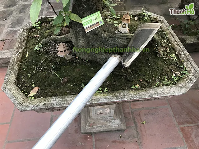 Xem Hình Ảnh Cái Thuổng Chi Tiết Cùng Cấu Tạo Khác Với Xẻng Cho Người Làm Vườn
