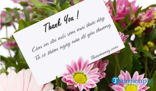 99+ Hình Ảnh Cảm Ơn Mọi Người Chúc Mừng Sinh Nhật Đẹp, Độc Đáo & Dễ Thương Dành Cho Bạn Trẻ