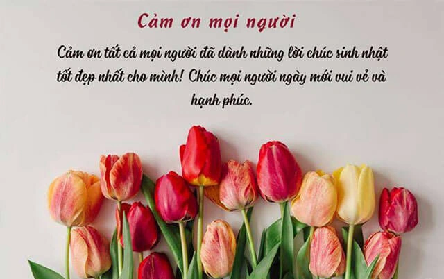 99+ Hình Ảnh Cảm Ơn Mọi Người Chúc Mừng Sinh Nhật Đẹp, Độc Đáo & Dễ Thương Dành Cho Bạn Trẻ