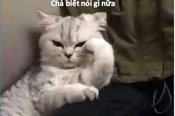 Tải Xuống Hình Ảnh Cạn Lời (meme Bất Lực) Hài Hước Nhất Cho Giới Trẻ Tải Xuống Hình Ảnh Cạn Lời (meme Bất Lực) Hài Hước Nhất Cho Giới Trẻ