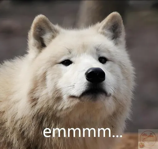Tải Xuống Hình Ảnh Cạn Lời (meme Bất Lực) Hài Hước Nhất Cho Giới Trẻ Tải Xuống Hình Ảnh Cạn Lời (meme Bất Lực) Hài Hước Nhất Cho Giới Trẻ