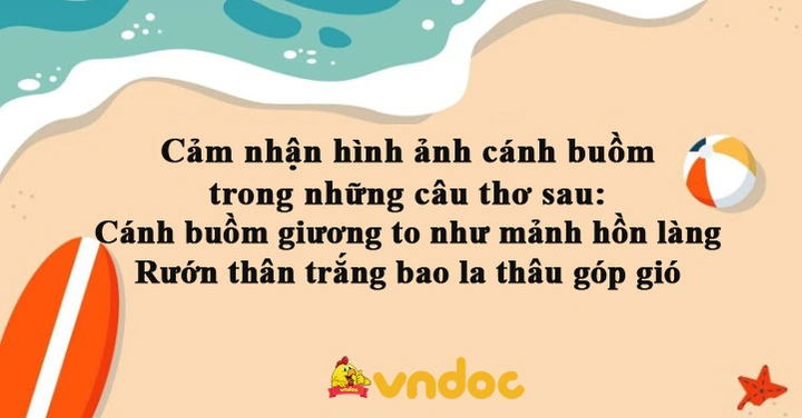 Phân Tích Sâu Hình Ảnh Cánh Buồm Trong Thơ “quê Hương” – Ý Nghĩa, Biện Pháp Tu Từ Và Cách Cảm Nhận Cho Học Sinh Lớp 8