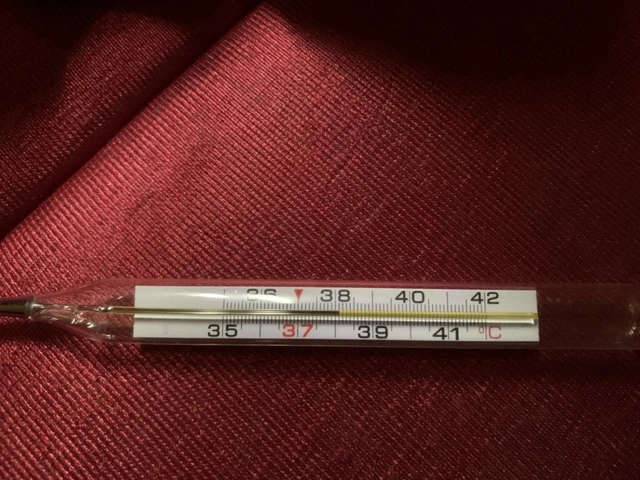 Tải Ngay Hình Ảnh Cặp Nhiệt Độ Sốt 38°c + Hướng Dẫn Đo Nhiệt Đúng Cách Cho Cha Mẹ Tải Ngay Hình Ảnh Cặp Nhiệt Độ Sốt 38°c + Hướng Dẫn Đo Nhiệt Đúng Cách Cho Cha Mẹ