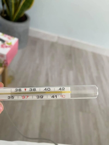 Tải Ngay Hình Ảnh Cặp Nhiệt Độ Sốt 38°c + Hướng Dẫn Đo Nhiệt Đúng Cách Cho Cha Mẹ Tải Ngay Hình Ảnh Cặp Nhiệt Độ Sốt 38°c + Hướng Dẫn Đo Nhiệt Đúng Cách Cho Cha Mẹ