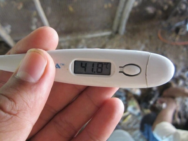 Tải Ngay Hình Ảnh Cặp Nhiệt Độ Sốt 38°c + Hướng Dẫn Đo Nhiệt Đúng Cách Cho Cha Mẹ Tải Ngay Hình Ảnh Cặp Nhiệt Độ Sốt 38°c + Hướng Dẫn Đo Nhiệt Đúng Cách Cho Cha Mẹ
