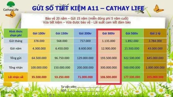Xem Hình Ảnh Cathay Life Dành Cho Khách Hàng Tiềm Năng: Từ Logo Thương Hiệu Đến Văn Phòng Giao Dịch