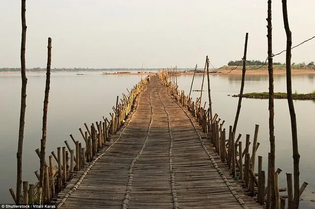 Chiêm Ngưỡng Hình Ảnh Cầu Tre Ý Nghĩa Cho Độc Giả Yêu Quê Hương Qua Cây Tre