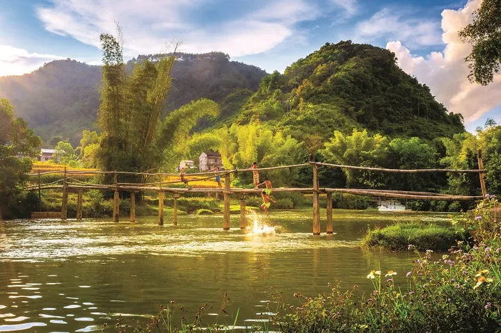 Chiêm Ngưỡng Hình Ảnh Cầu Tre Ý Nghĩa Cho Độc Giả Yêu Quê Hương Qua Cây Tre