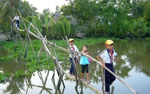 Chiêm Ngưỡng Hình Ảnh Cầu Tre Ý Nghĩa Cho Độc Giả Yêu Quê Hương Qua Cây Tre