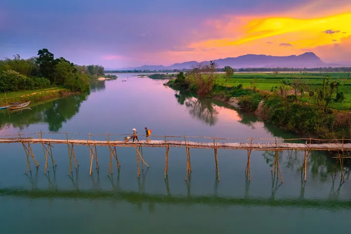 Chiêm Ngưỡng Hình Ảnh Cầu Tre Ý Nghĩa Cho Độc Giả Yêu Quê Hương Qua Cây Tre