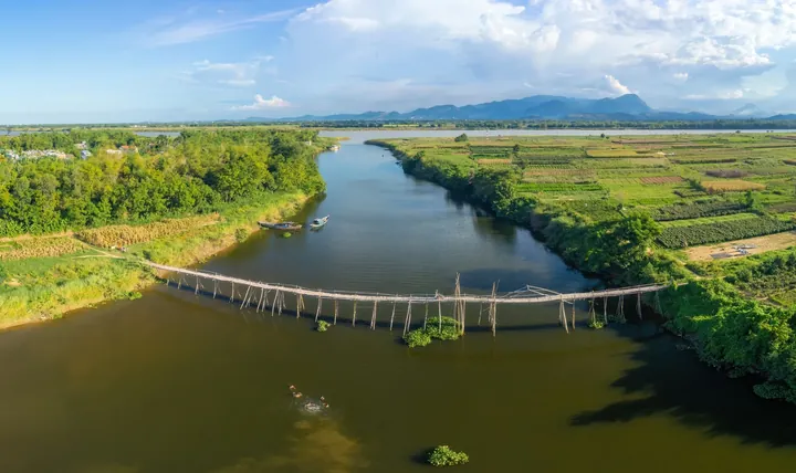 Chiêm Ngưỡng Hình Ảnh Cầu Tre Ý Nghĩa Cho Độc Giả Yêu Quê Hương Qua Cây Tre