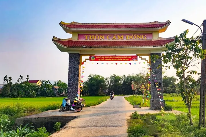 Chiêm Ngưỡng Hình Ảnh Cầu Tre Ý Nghĩa Cho Độc Giả Yêu Quê Hương Qua Cây Tre