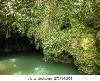 Tải Và Sử Dụng Hình Ảnh “cave” Miễn Phí Bản Quyền: Hướng Dẫn Toàn Diện Cho Người Thiết Kế & Nội Dung