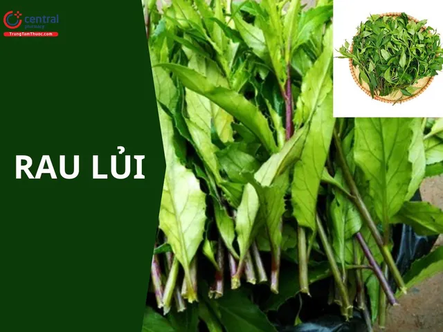 Xem Hình Ảnh Và Định Nghĩa Cây Lụi Là Cây Gì Cho Người Yêu Cây: Phân Biệt Với Hiện Tượng Lụi Bại Xem Hình Ảnh Và Định Nghĩa Cây Lụi Là Cây Gì Cho Người Yêu Cây: Phân Biệt Với Hiện Tượng Lụi Bại