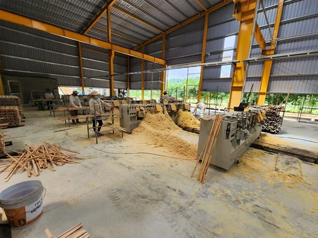 Xem Hình Ảnh Và Đặc Điểm Nhận Biết Cây Luồng (cấu Tạo Thân, Lá) Dành Cho Người Trồng & Kiến Trúc Sư Xem Hình Ảnh Và Đặc Điểm Nhận Biết Cây Luồng (cấu Tạo Thân, Lá) Dành Cho Người Trồng & Kiến Trúc Sư