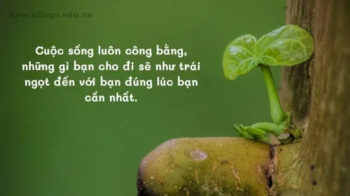 Tải Xuống Kho Hình Ảnh Châm Ngôn Ý Nghĩa Cùng Danh Ngôn Sâu Sắc Dành Cho Bạn Tải Xuống Kho Hình Ảnh Châm Ngôn Ý Nghĩa Cùng Danh Ngôn Sâu Sắc Dành Cho Bạn