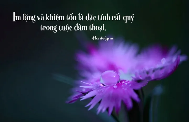 Tải Xuống Kho Hình Ảnh Châm Ngôn Ý Nghĩa Cùng Danh Ngôn Sâu Sắc Dành Cho Bạn Tải Xuống Kho Hình Ảnh Châm Ngôn Ý Nghĩa Cùng Danh Ngôn Sâu Sắc Dành Cho Bạn