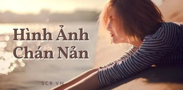 Tải Xuống Hình Ảnh Chán Chường Buồn Bã Cho Người Đang Mệt Mỏi Tải Xuống Hình Ảnh Chán Chường Buồn Bã Cho Người Đang Mệt Mỏi