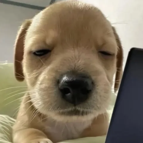 Tải Xuống Hình Ảnh Chán Chường Buồn Bã Cho Người Đang Mệt Mỏi Tải Xuống Hình Ảnh Chán Chường Buồn Bã Cho Người Đang Mệt Mỏi