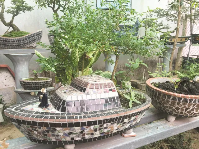 Tổng Hợp Hình Ảnh Chậu Cảnh Đẹp, Đa Dạng Cho Người Yêu Cây Từ Chậu Gốm, Xi Măng Đến Chậu Mini