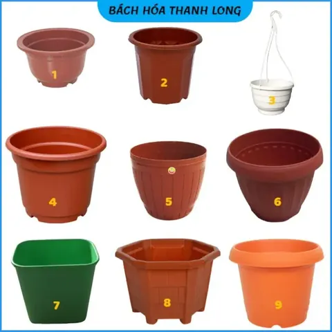 Tổng Hợp Hình Ảnh Chậu Cảnh Đẹp, Đa Dạng Cho Người Yêu Cây Từ Chậu Gốm, Xi Măng Đến Chậu Mini