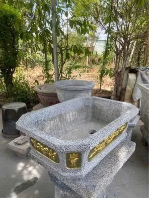 Tổng Hợp Hình Ảnh Chậu Cảnh Đẹp, Đa Dạng Cho Người Yêu Cây Từ Chậu Gốm, Xi Măng Đến Chậu Mini