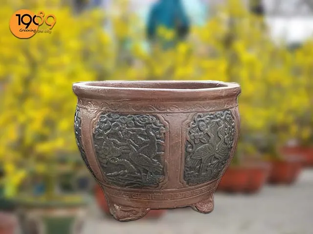 Tổng Hợp Hình Ảnh Chậu Cảnh Đẹp, Đa Dạng Cho Người Yêu Cây Từ Chậu Gốm, Xi Măng Đến Chậu Mini