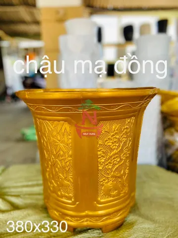 Tổng Hợp Hình Ảnh Chậu Cảnh Đẹp, Đa Dạng Cho Người Yêu Cây Từ Chậu Gốm, Xi Măng Đến Chậu Mini