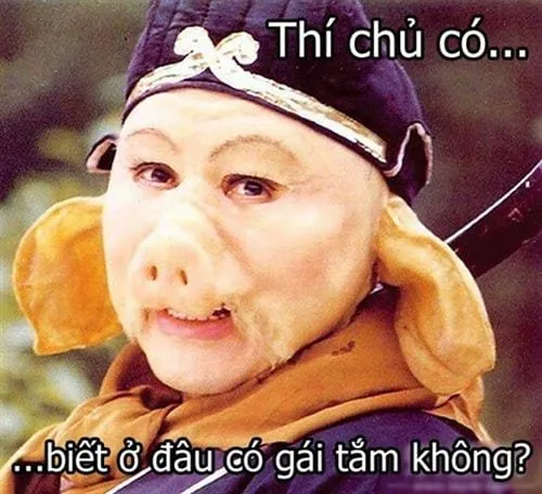 Tổng Hợp Xem Và Tải Hình Ảnh Chế Vui & Meme Hài Hước Cho Dân Mạng (ảnh Chó, Mèo) Tổng Hợp Xem Và Tải Hình Ảnh Chế Vui & Meme Hài Hước Cho Dân Mạng (ảnh Chó, Mèo)