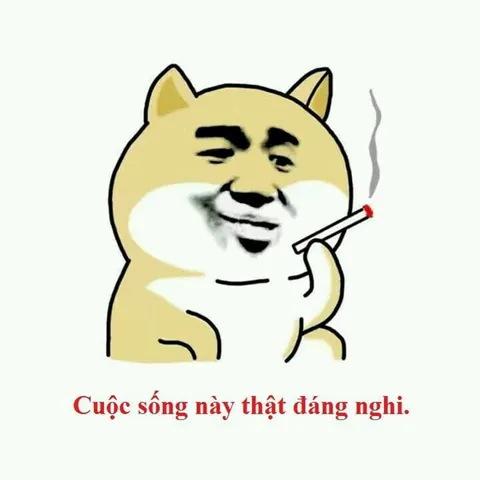 Tổng Hợp Xem Và Tải Hình Ảnh Chế Vui & Meme Hài Hước Cho Dân Mạng (ảnh Chó, Mèo) Tổng Hợp Xem Và Tải Hình Ảnh Chế Vui & Meme Hài Hước Cho Dân Mạng (ảnh Chó, Mèo)