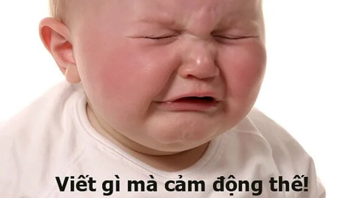 Tổng Hợp Xem Và Tải Hình Ảnh Chế Vui & Meme Hài Hước Cho Dân Mạng (ảnh Chó, Mèo) Tổng Hợp Xem Và Tải Hình Ảnh Chế Vui & Meme Hài Hước Cho Dân Mạng (ảnh Chó, Mèo)