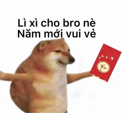 Tổng Hợp Xem Và Tải Hình Ảnh Chế Vui & Meme Hài Hước Cho Dân Mạng (ảnh Chó, Mèo) Tổng Hợp Xem Và Tải Hình Ảnh Chế Vui & Meme Hài Hước Cho Dân Mạng (ảnh Chó, Mèo)