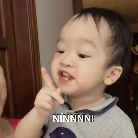 Tổng Hợp Xem Và Tải Hình Ảnh Chế Vui & Meme Hài Hước Cho Dân Mạng (ảnh Chó, Mèo) Tổng Hợp Xem Và Tải Hình Ảnh Chế Vui & Meme Hài Hước Cho Dân Mạng (ảnh Chó, Mèo)