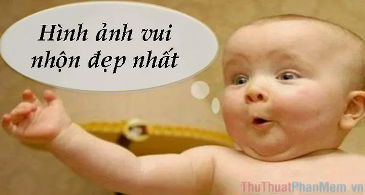 Tổng Hợp Xem Và Tải Hình Ảnh Chế Vui & Meme Hài Hước Cho Dân Mạng (ảnh Chó, Mèo) Tổng Hợp Xem Và Tải Hình Ảnh Chế Vui & Meme Hài Hước Cho Dân Mạng (ảnh Chó, Mèo)