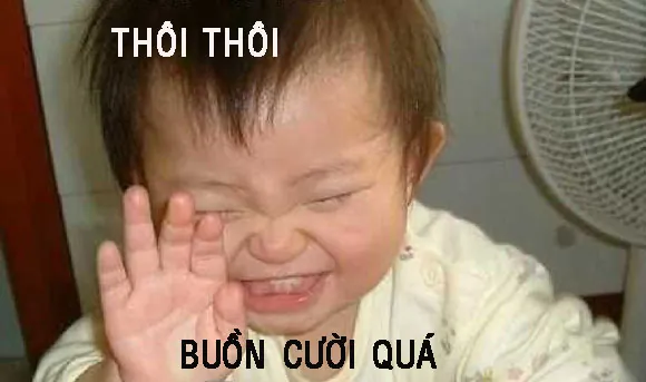 Tổng Hợp Xem Và Tải Hình Ảnh Chế Vui & Meme Hài Hước Cho Dân Mạng (ảnh Chó, Mèo) Tổng Hợp Xem Và Tải Hình Ảnh Chế Vui & Meme Hài Hước Cho Dân Mạng (ảnh Chó, Mèo)