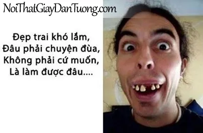 Tổng Hợp Xem Và Tải Hình Ảnh Chế Vui & Meme Hài Hước Cho Dân Mạng (ảnh Chó, Mèo) Tổng Hợp Xem Và Tải Hình Ảnh Chế Vui & Meme Hài Hước Cho Dân Mạng (ảnh Chó, Mèo)